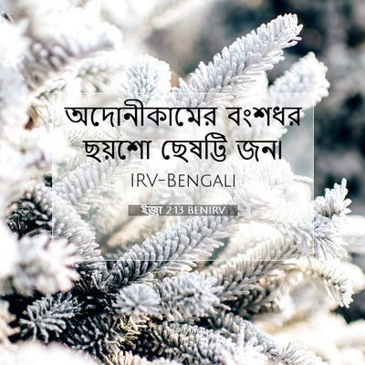 Picture 07 - ইজ্ৰা 2:13 BENIRV - অদোনীকামের বংশধর - Bible Verse Picture