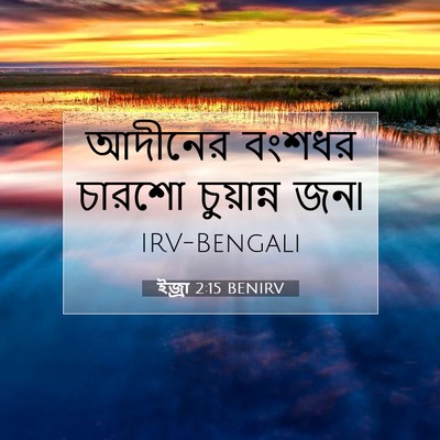 Picture 07 - ইজ্ৰা 2:15 BENIRV - আদীনের বংশধর - Bible Verse Picture
