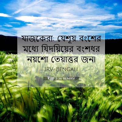 Picture 07 - ইজ্ৰা 2:36 BENIRV - যাজকেরা; যেশূয় - Bible Verse Picture