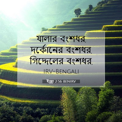 Picture 07 - ইজ্ৰা 2:56 BENIRV - যালার বংশধর, - Bible Verse Picture