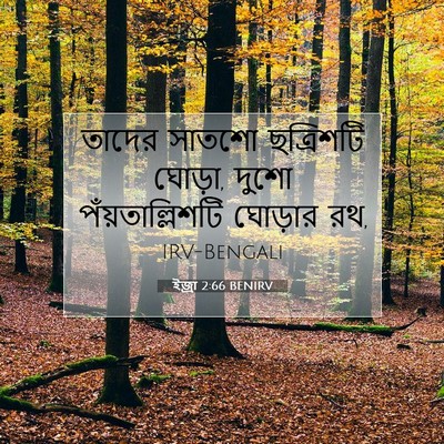 Picture 07 - ইজ্ৰা 2:66 BENIRV - তাদের সাতশো - Bible Verse Picture