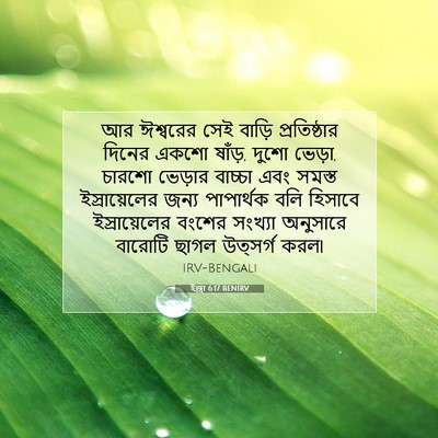 Picture 07 - ইজ্ৰা 6:17 BENIRV - আর ঈশ্বরের সেই - Bible Verse Picture