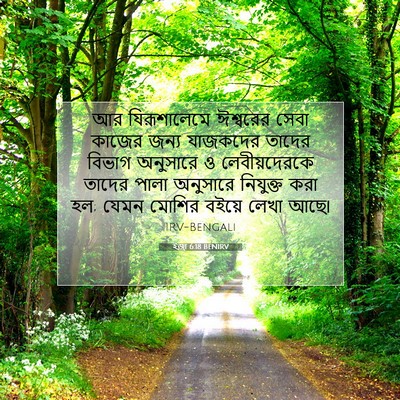 Picture 07 - ইজ্ৰা 6:18 BENIRV - আর যিরূশালেমে - Bible Verse Picture