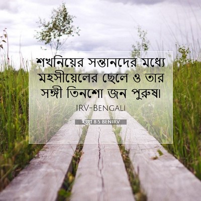 Picture 07 - ইজ্ৰা 8:5 BENIRV - শখনিয়ের - Bible Verse Picture
