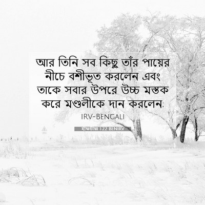 Picture 07 - ইফিচীয়া 1:22 BENIRV - আর তিনি সব কিছু - Bible Verse Picture