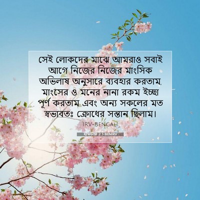 Picture 07 - ইফিচীয়া 2:3 BENIRV - সেই লোকদের মাঝে - Bible Verse Picture