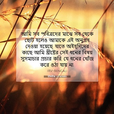Picture 07 - ইফিচীয়া 3:8 BENIRV - আমি সব পবিত্রদের - Bible Verse Picture