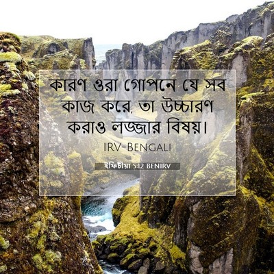 Picture 07 - ইফিচীয়া 5:12 BENIRV - কারণ ওরা গোপনে যে - Bible Verse Picture