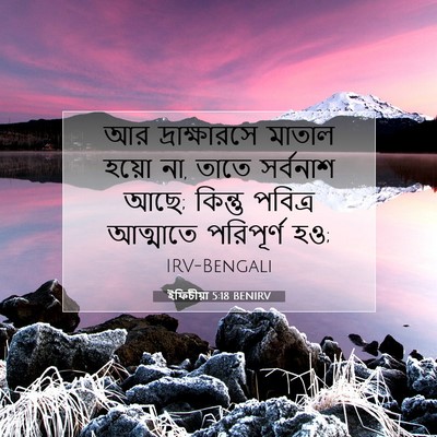 Picture 07 - ইফিচীয়া 5:18 BENIRV - আর দ্রাক্ষারসে - Bible Verse Picture