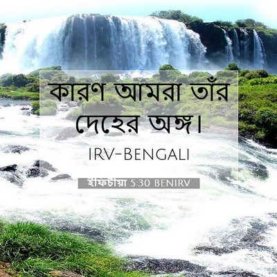 Picture 07 - ইফিচীয়া 5:30 BENIRV - কারণ আমরা তাঁর - Bible Verse Picture