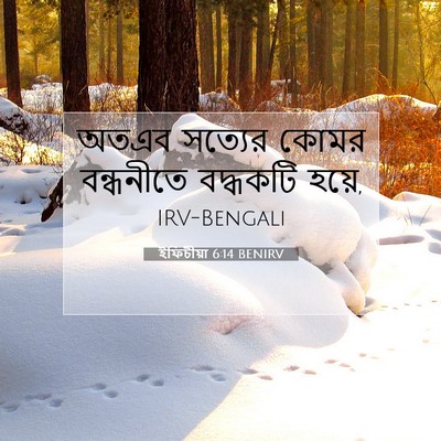 Picture 07 - ইফিচীয়া 6:14 BENIRV - অতএব সত্যের কোমর - Bible Verse Picture