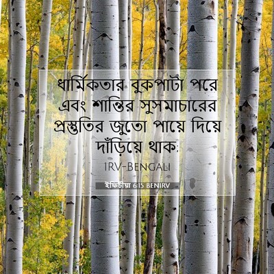 Picture 07 - ইফিচীয়া 6:15 BENIRV - ধার্মিকতার - Bible Verse Picture