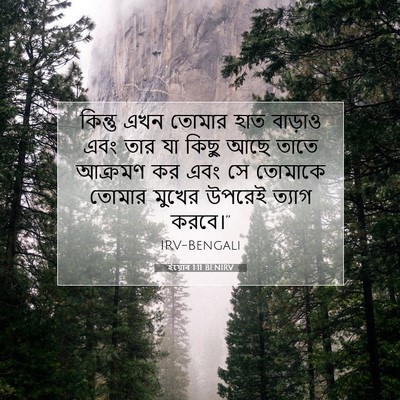 Picture 07 - ইয়োব 1:11 BENIRV - কিন্তু এখন তোমার - Bible Verse Picture