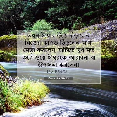 Picture 07 - ইয়োব 1:20 BENIRV - তখন ইয়োব উঠে - Bible Verse Picture