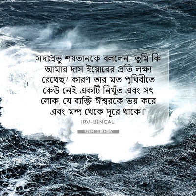 Picture 07 - ইয়োব 1:8 BENIRV - সদাপ্রভু শয়তানকে - Bible Verse Picture