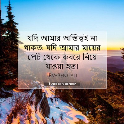 Picture 07 - ইয়োব 10:19 BENIRV - যদি আমার - Bible Verse Picture