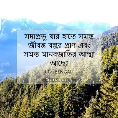 Picture 07 - ইয়োব 12:10 BENIRV - সদাপ্রভু, যার হাতে - Bible Verse Picture