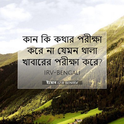 Picture 07 - ইয়োব 12:11 BENIRV - কান কি কথার - Bible Verse Picture
