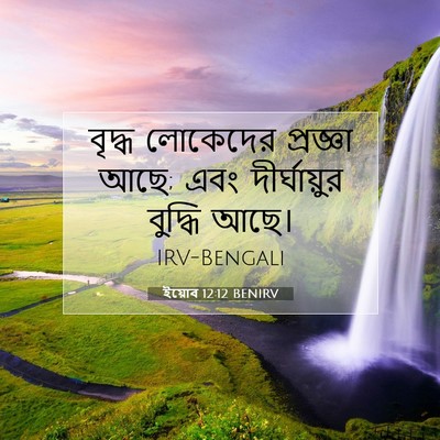 Picture 07 - ইয়োব 12:12 BENIRV - বৃদ্ধ লোকেদের - Bible Verse Picture