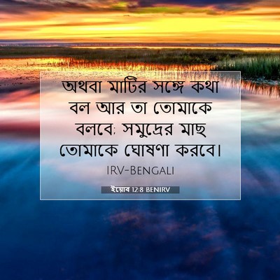 Picture 07 - ইয়োব 12:8 BENIRV - অথবা মাটির সঙ্গে - Bible Verse Picture