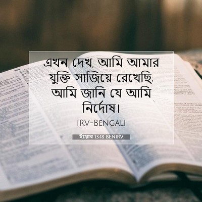 Picture 07 - ইয়োব 13:18 BENIRV - এখন দেখ, আমি আমার - Bible Verse Picture