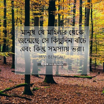 Picture 07 - ইয়োব 14:1 BENIRV - মানুষ, যে মহিলার - Bible Verse Picture