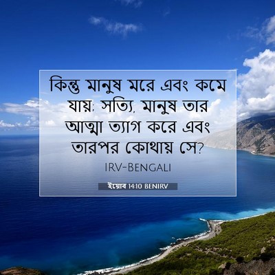 Picture 07 - ইয়োব 14:10 BENIRV - কিন্তু মানুষ মরে - Bible Verse Picture