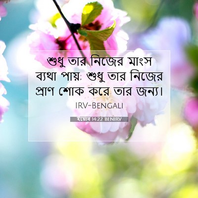 Picture 07 - ইয়োব 14:22 BENIRV - শুধু তার নিজের - Bible Verse Picture