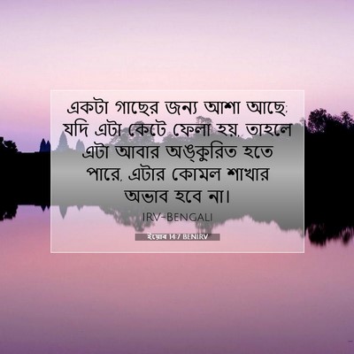 Picture 07 - ইয়োব 14:7 BENIRV - একটা গাছের জন্য - Bible Verse Picture