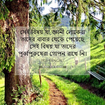 Picture 07 - ইয়োব 15:18 BENIRV - সেই বিষয় যা - Bible Verse Picture