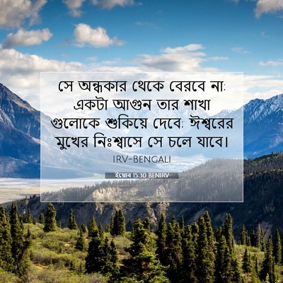 Picture 07 - ইয়োব 15:30 BENIRV - সে অন্ধকার থেকে - Bible Verse Picture
