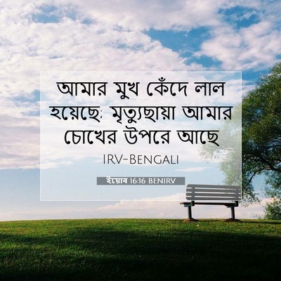 Picture 07 - ইয়োব 16:16 BENIRV - আমার মুখ কেঁদে লাল - Bible Verse Picture