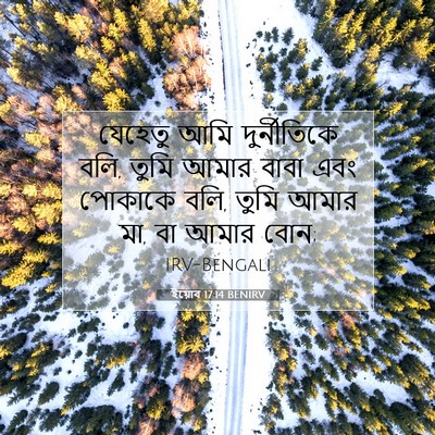Picture 07 - ইয়োব 17:14 BENIRV - যেহেতু আমি - Bible Verse Picture