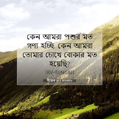 Picture 07 - ইয়োব 18:3 BENIRV - কেন আমরা পশুর মত - Bible Verse Picture