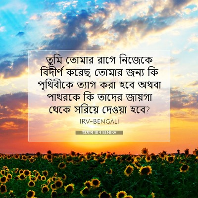 Picture 07 - ইয়োব 18:4 BENIRV - তুমি তোমার রাগে - Bible Verse Picture