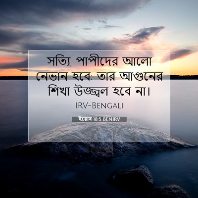Picture 07 - ইয়োব 18:5 BENIRV - সত্যি, পাপীদের আলো - Bible Verse Picture