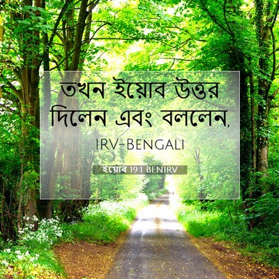 Picture 07 - ইয়োব 19:1 BENIRV - তখন ইয়োব উত্তর - Bible Verse Picture