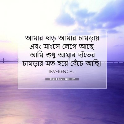 Picture 07 - ইয়োব 19:20 BENIRV - আমার হাড় আমার - Bible Verse Picture