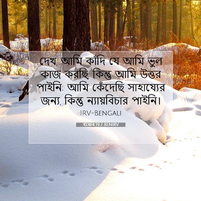 Picture 07 - ইয়োব 19:7 BENIRV - দেখ, আমি কাঁদি যে - Bible Verse Picture