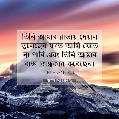 Picture 07 - ইয়োব 19:8 BENIRV - তিনি আমার - Bible Verse Picture