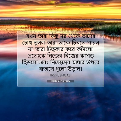 Picture 07 - ইয়োব 2:12 BENIRV - যখন তারা কিছু দূর - Bible Verse Picture