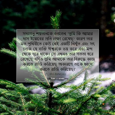 Picture 07 - ইয়োব 2:3 BENIRV - সদাপ্রভু শয়তানকে - Bible Verse Picture
