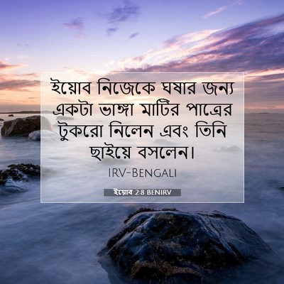 Picture 07 - ইয়োব 2:8 BENIRV - ইয়োব নিজেকে ঘষার - Bible Verse Picture