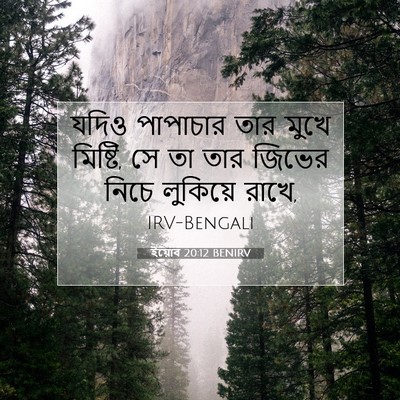 Picture 07 - ইয়োব 20:12 BENIRV - যদিও পাপাচার তার - Bible Verse Picture