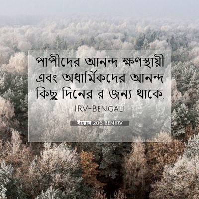 Picture 07 - ইয়োব 20:5 BENIRV - পাপীদের আনন্দ - Bible Verse Picture