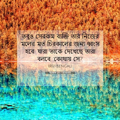 Picture 07 - ইয়োব 20:7 BENIRV - তবুও সেরকম - Bible Verse Picture