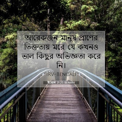 Picture 07 - ইয়োব 21:25 BENIRV - আরেকজন মানুষ - Bible Verse Picture