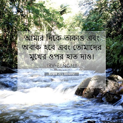 Picture 07 - ইয়োব 21:5 BENIRV - আমার দিকে তাকাও - Bible Verse Picture