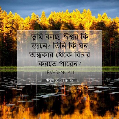 Picture 07 - ইয়োব 22:13 BENIRV - তুমি বলছ, ‘ঈশ্বর কি - Bible Verse Picture