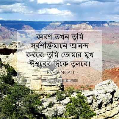Picture 07 - ইয়োব 22:26 BENIRV - কারণ তখন তুমি - Bible Verse Picture